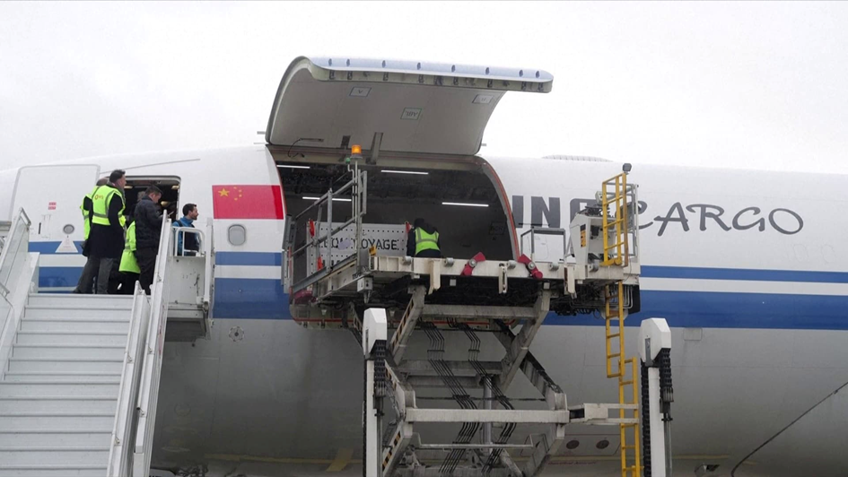 Les deux caisses contenant le couple de pandas, placées avec émotion dans un avion affrété spécialement.